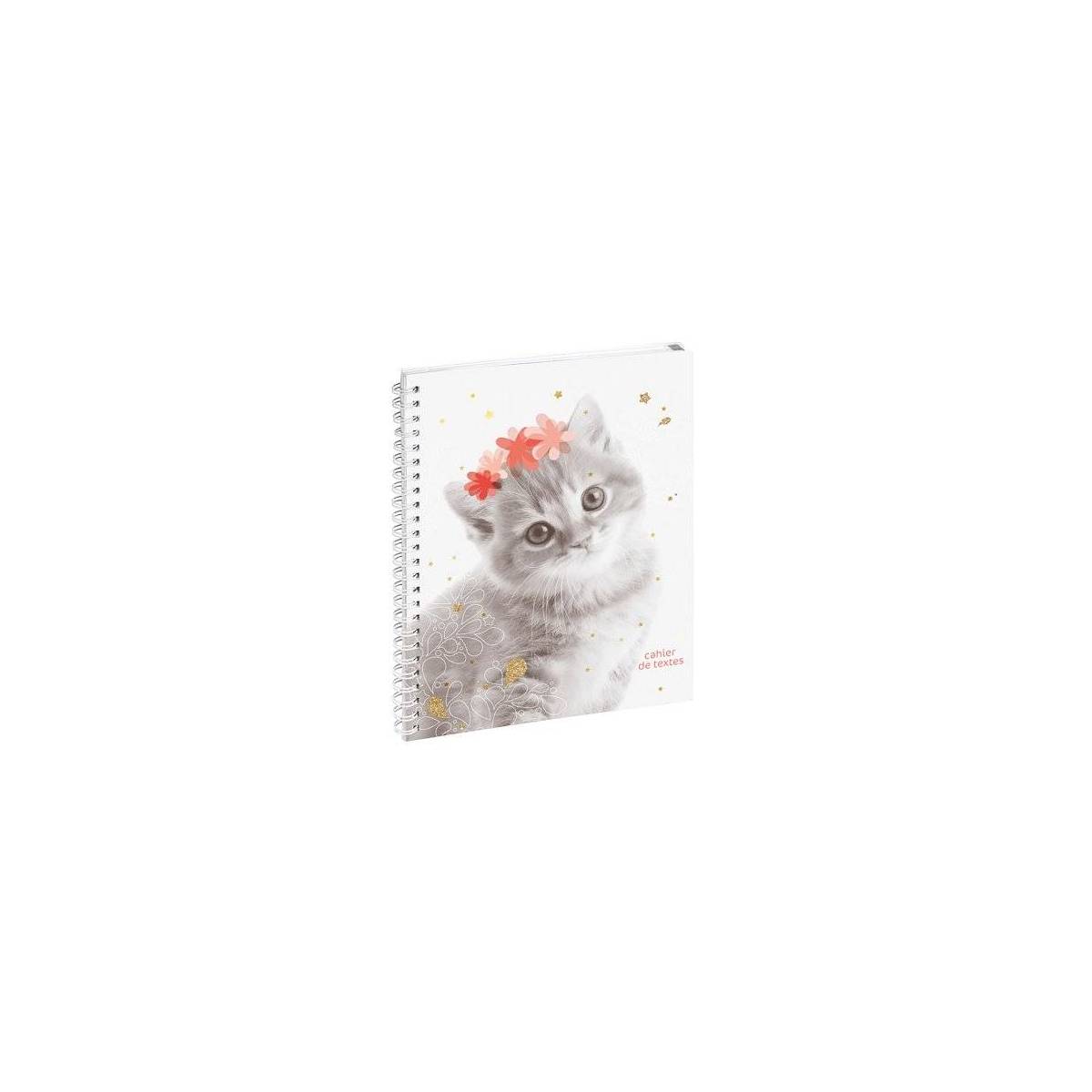 Cahier de Textes Color Lovely Lapin 17 x 22 cm