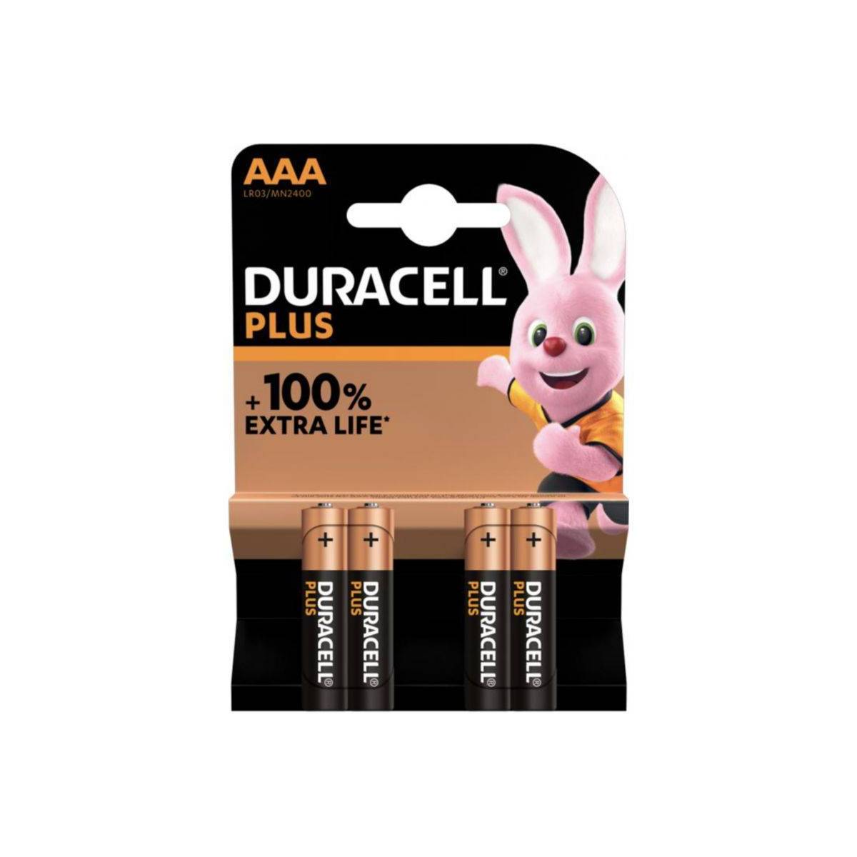 Boîte de 10 piles AAA alcaline 1,5v - LR03 - Duracell