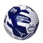 Ballon de football Equipe de France Coupe du Monde Taille 5