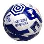 Ballon de football Equipe de France Coupe du Monde Taille 5