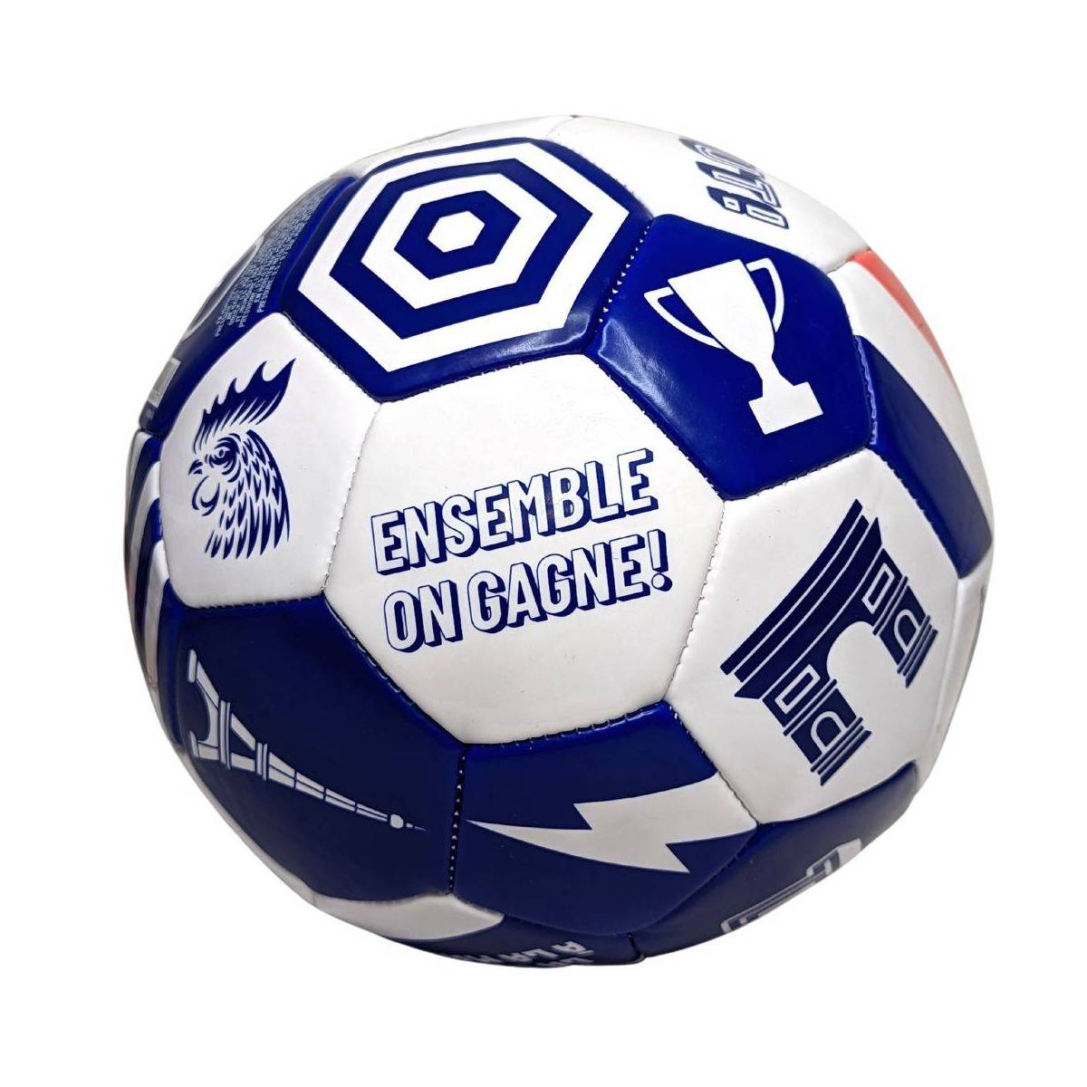 Ballon de football Equipe de France Coupe du Monde Taille 5