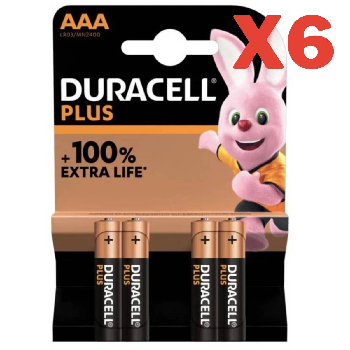 Piles alcalines AAA x6 Duracell Plus, 1.5V LR03