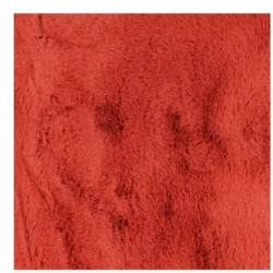 Tendance Tapis Microfibre 45 x 75 cm Extra-doux Corail